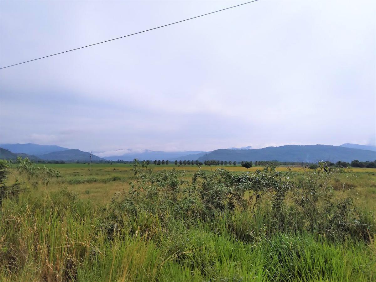 VENTA DE TERRENO DE 60 HAS. EN SAN MARTÍN